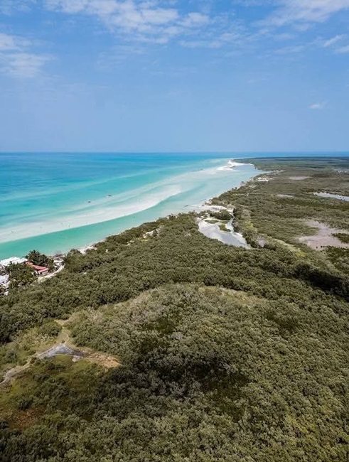 Discover crystal-clear waters, flamingos, sandbanks and untouched nature.